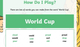 视频用英语怎么说,Summarizing the Video Content in English